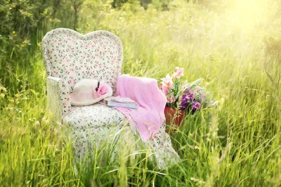 chaise dans le domaine